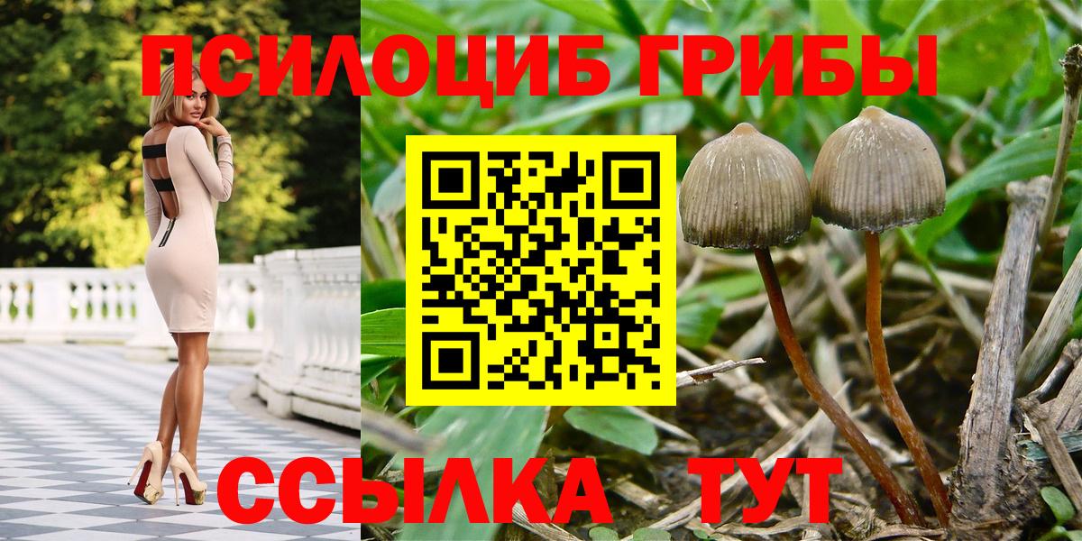 Псилоцибиновые грибы мицелий Барнаул