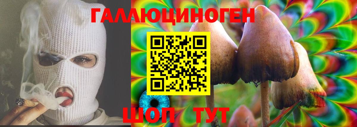 Барнаул  Галлюциногенные грибы Psilocybine cubensis  Вход с VPN  продажа наркотиков  Галлюциногенные грибы GOLDEN TEACHER 